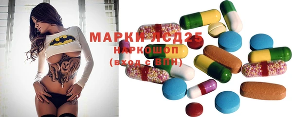 PSILOCYBIN Зеленодольск