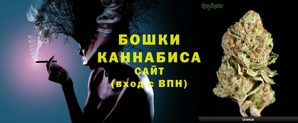PSILOCYBIN Зеленодольск