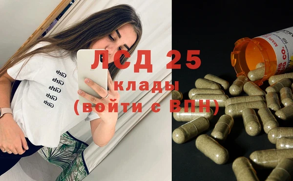PSILOCYBIN Зеленодольск