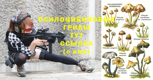 MDMA Premium VHQ Зерноград