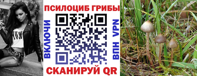 Псилоцибиновые грибы Psilocybine cubensis  Купить где  Фокино 