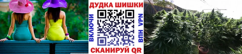 Бошки Шишки ГИДРОПОН  Купить закладки  Фокино 